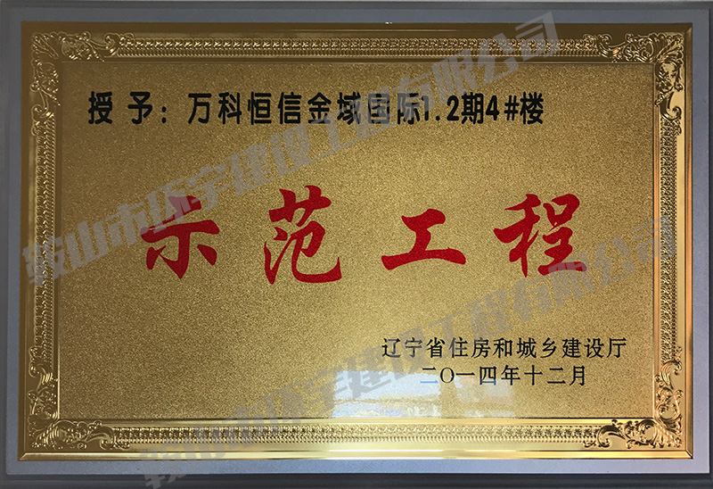 萬科恒信金域國(guó)際示范工程.jpg